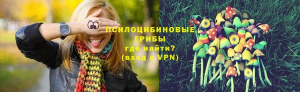 трава Алзамай